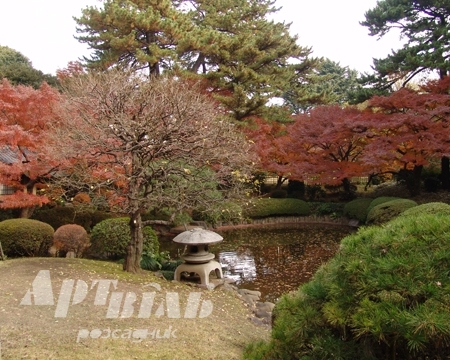 japan-garden-3